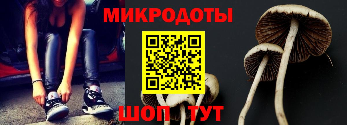 Псилоцибиновые грибы Psilocybine cubensis  Вход с VPN  Вольск 